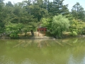 Nara